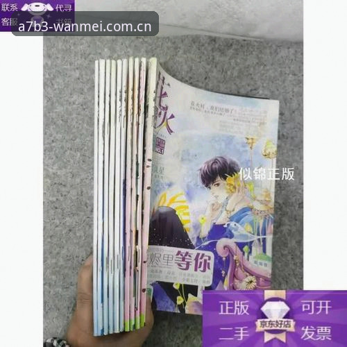新手必看！完美体育A7B3版本下载全攻略——资深用户分享实战经验与使用心得
